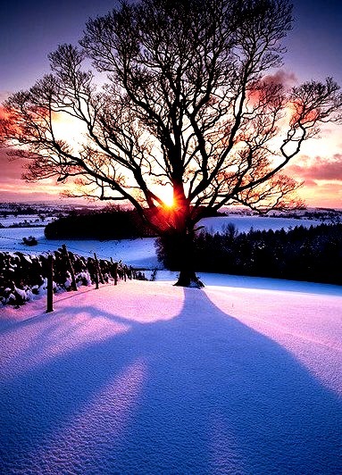 Snow Sunset, Eshton, England