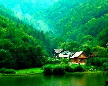 Green Valley, Transylvania, Romania