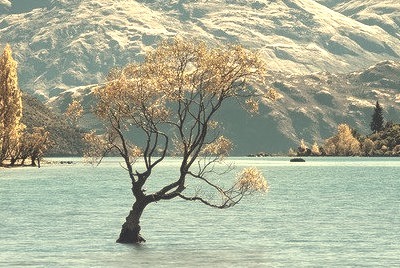 Solitude,  Lake Wanaka, New Zealand