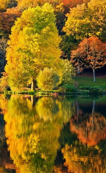 Reflections of autumn at Stourhead Gardens, Wiltshire, England