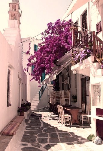 Beautiful cycladic alleys of Mykonos, Greece . For all of you who wanted Greece :)