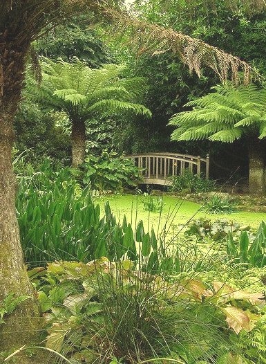 Trengwainton Gardens in Cornwall / England