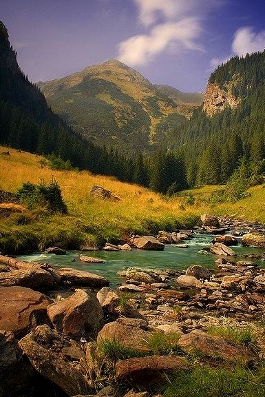 Into the Wild, Fagaras Mountains, Romania