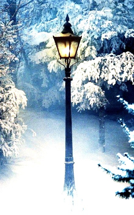 Snow Lantern, Narnia