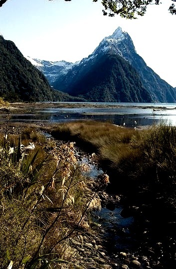 Milford Sound in Fjordland National Park, New Zealand